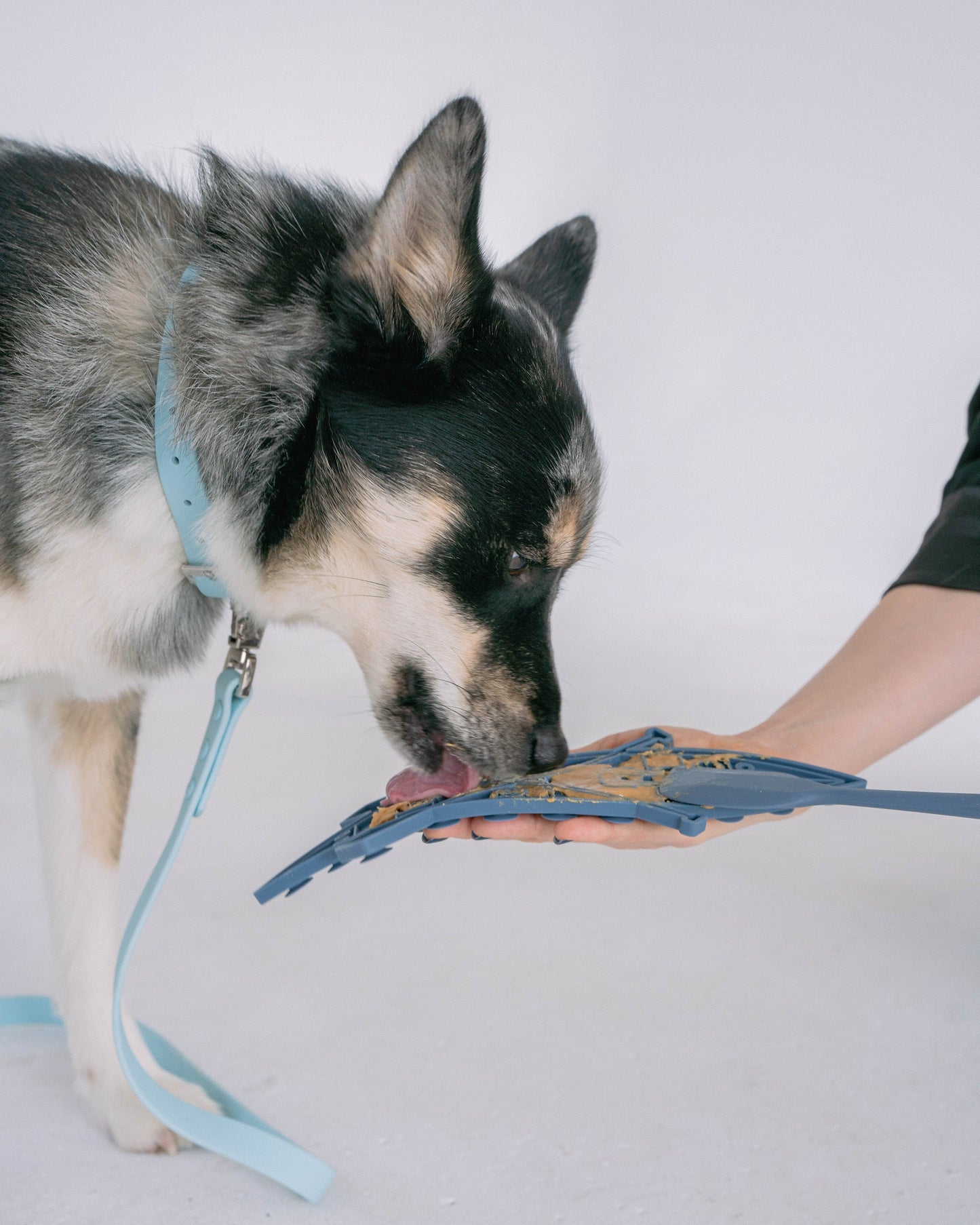 Canoe Enrichment Lick Mat with Silicone Spatula