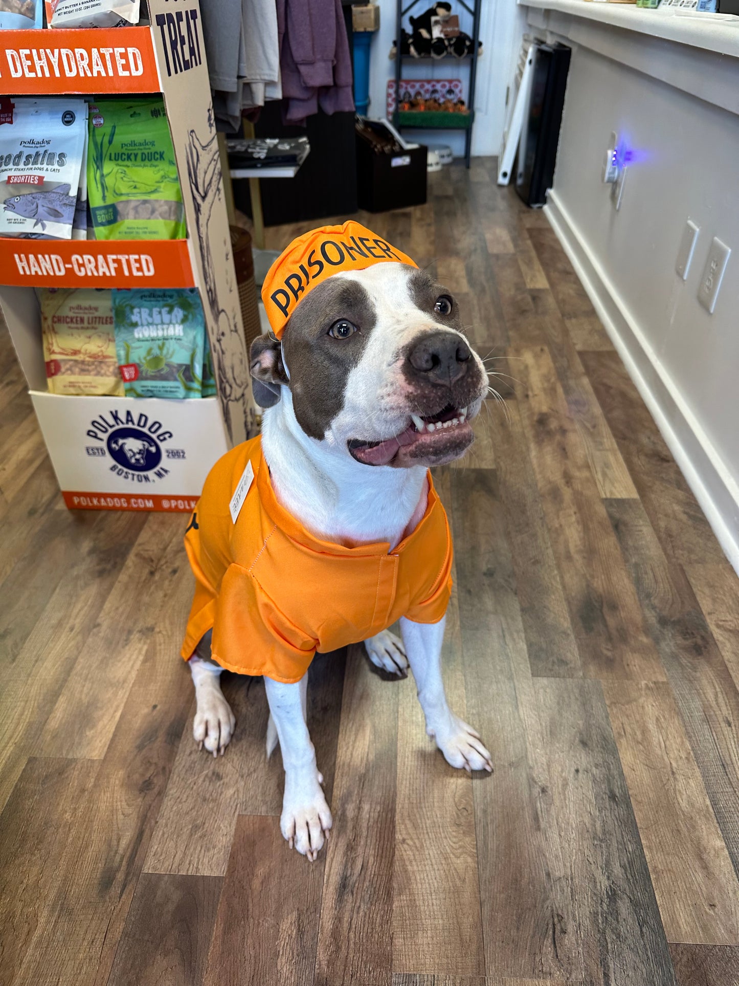 Orange Prisoner Dog Costume