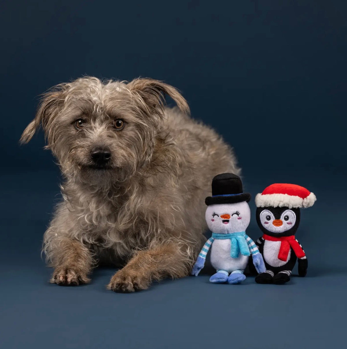 Ultimate Chiller 2PC Dog Toy Set