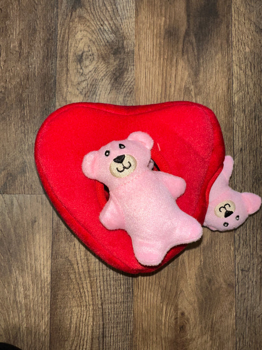 Valentine’s Burrow Heart’n Bears