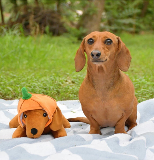 The Weens - Kinda Punny Dog Toy