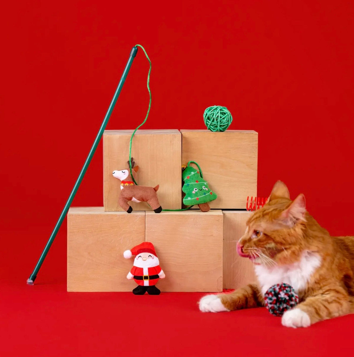 Jingle Joy 6PC Cat Toy Set