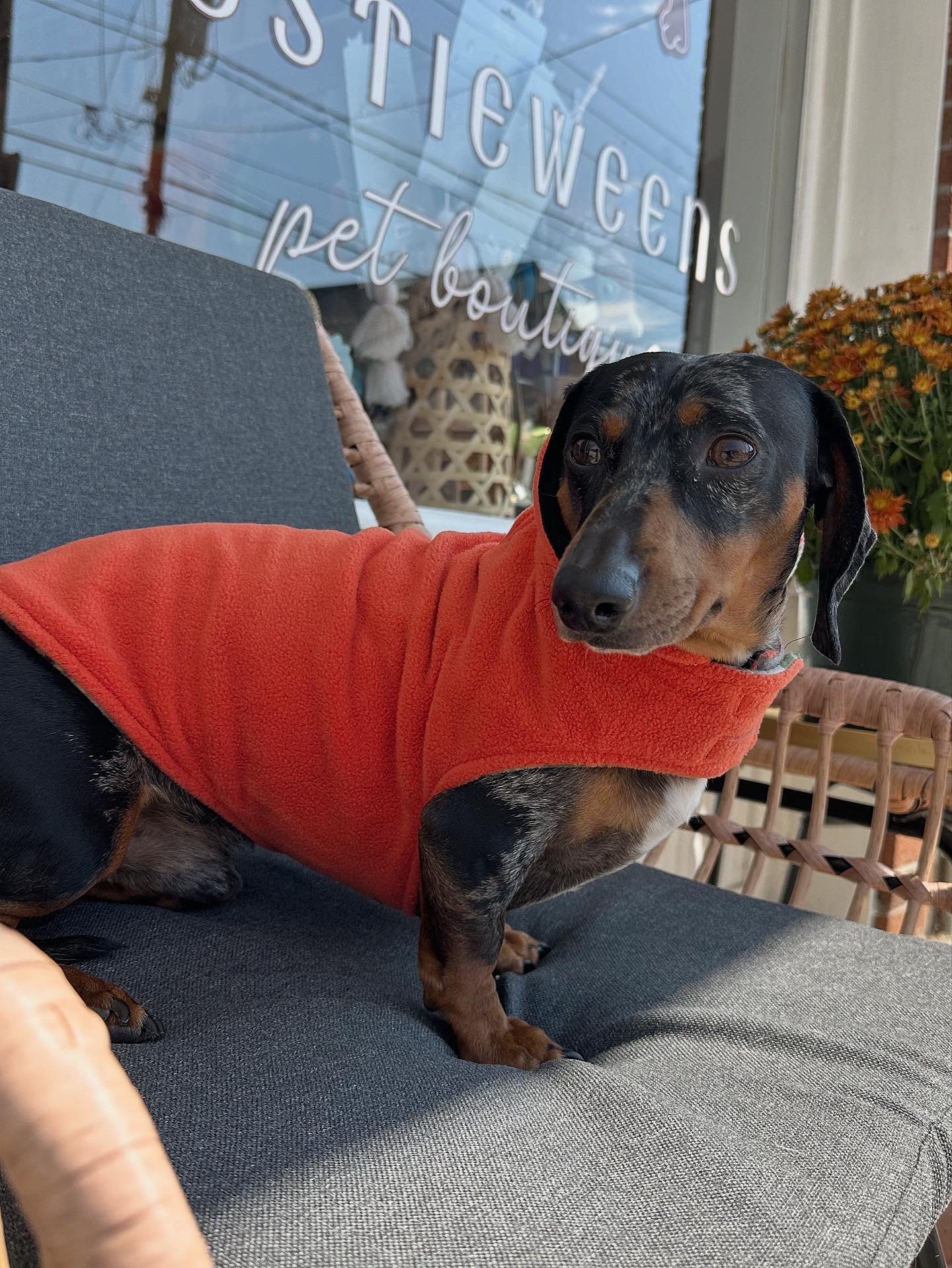 Olive and Orange Fargo Fleece Reversible Dog Jacket