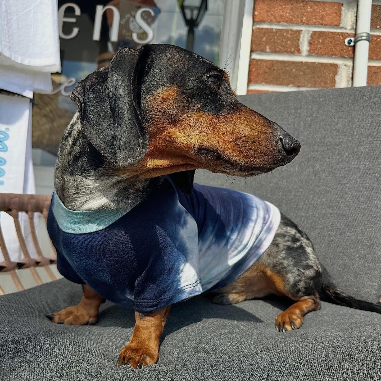 Hand Tie Dye Doggy Tee - Indigo/Dusty Blue