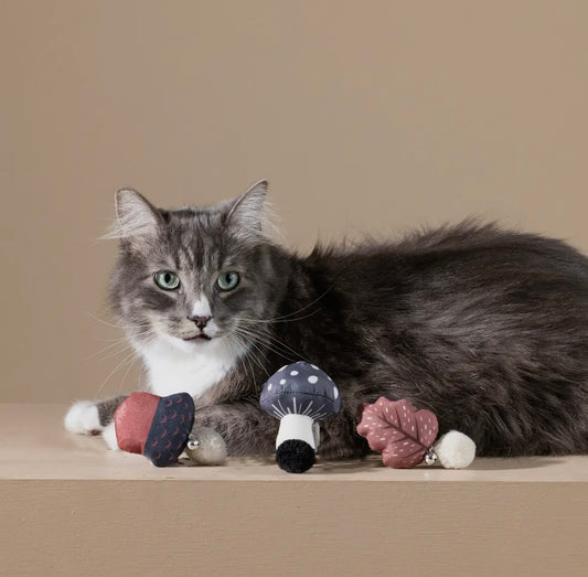 Forest Finds Mini Cat Toy Set
