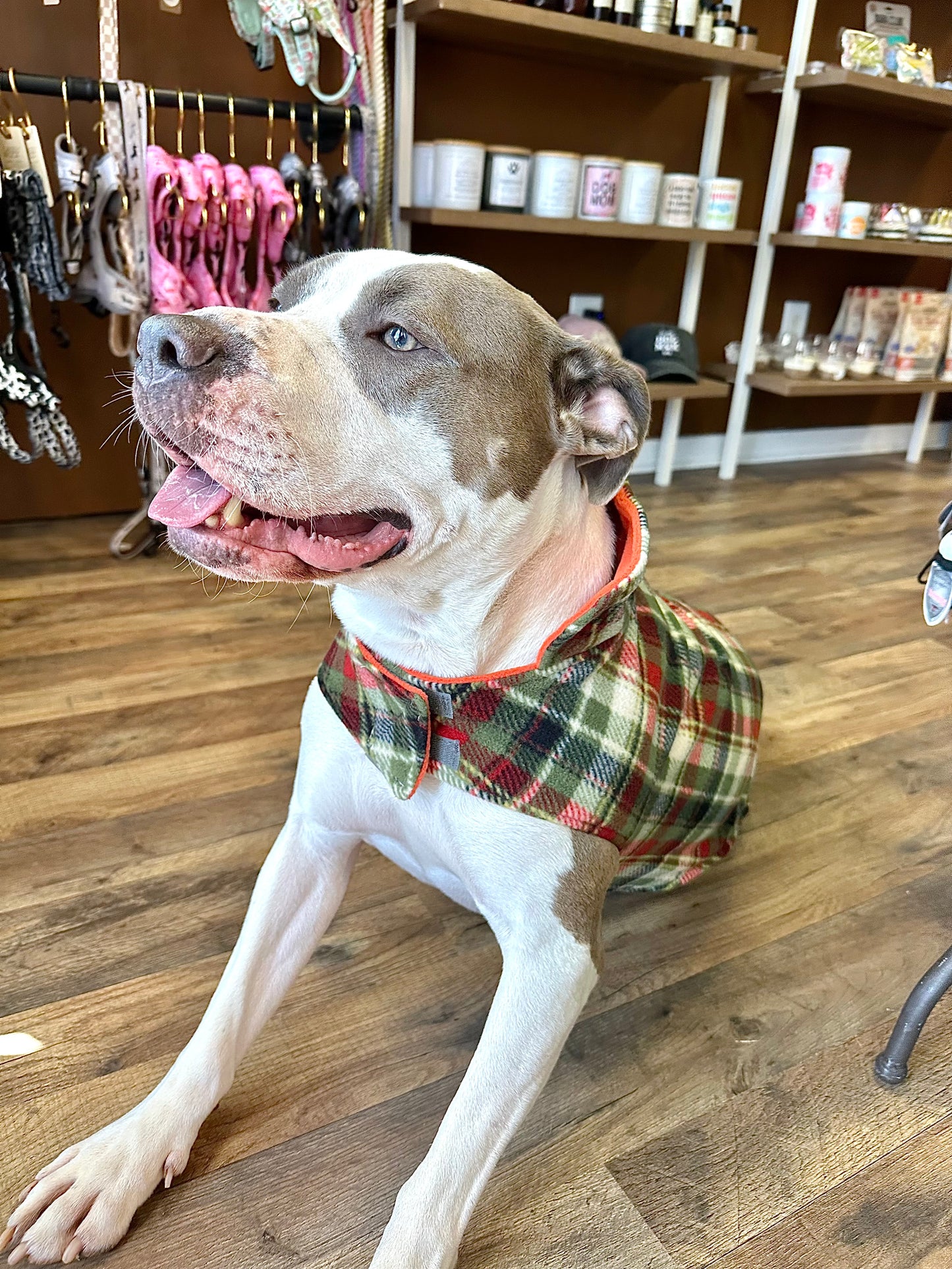 Olive and Orange Fargo Fleece Reversible Dog Jacket