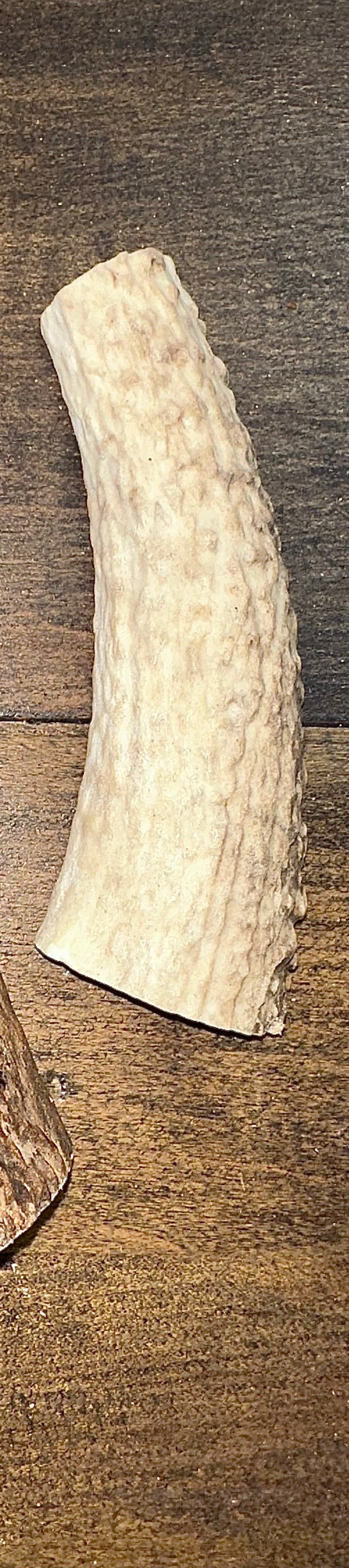 Split Elk Antler Chew