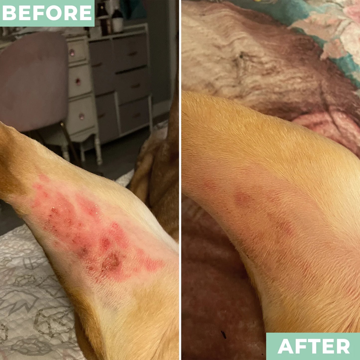 NAPRIM Soothing Pet Powder