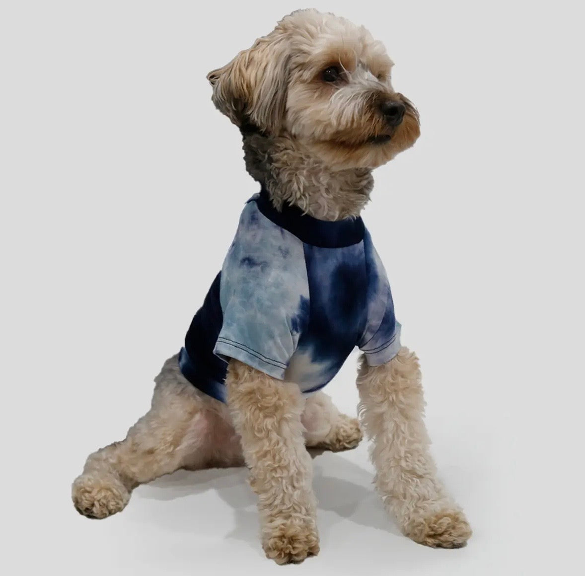 Hand Tie Dye Doggy Tee - Indigo/Dusty Blue