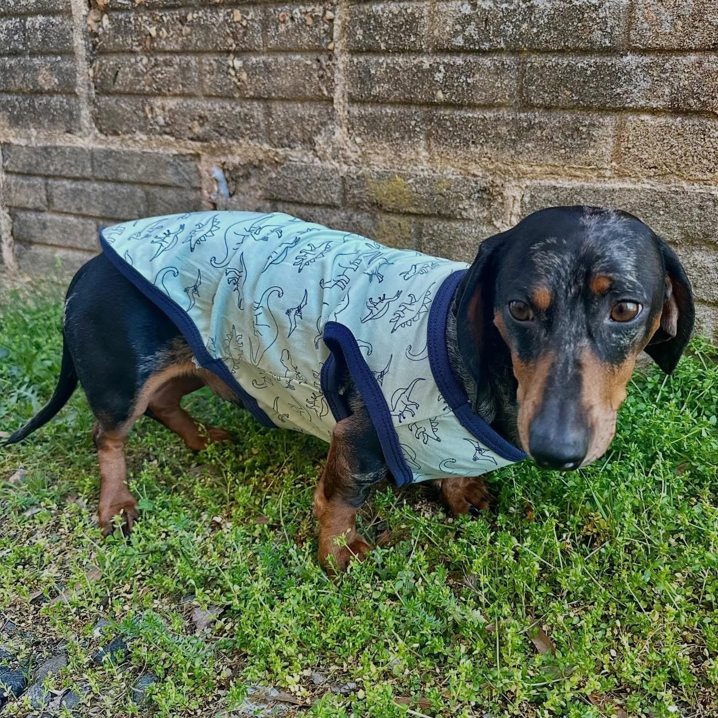 Luvable Friends Pet Cotton T-Shirts Dino/Camo