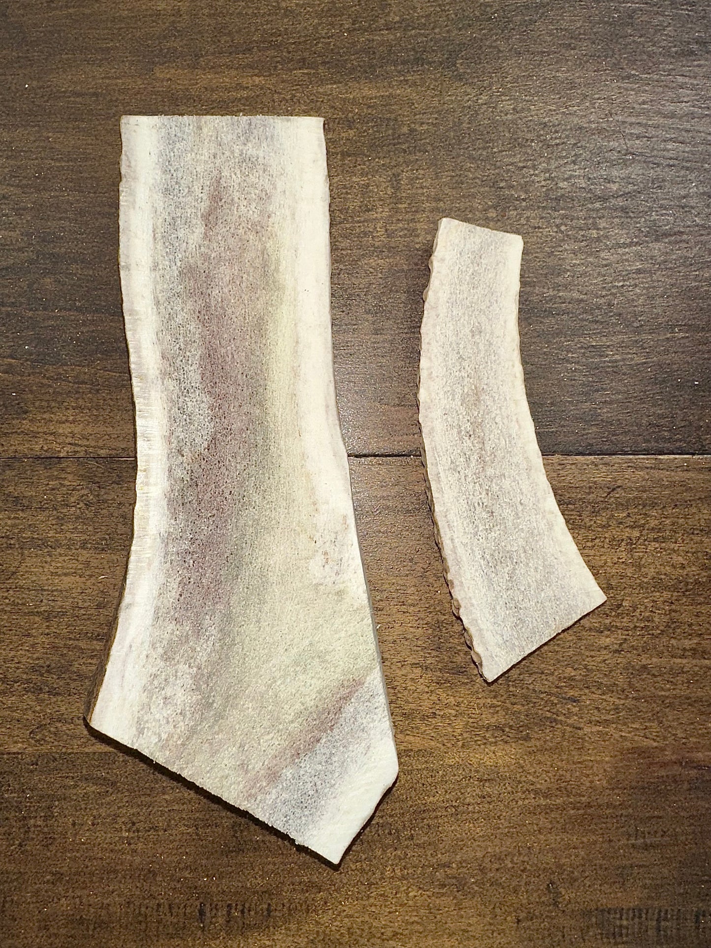 Split Elk Antler Chew