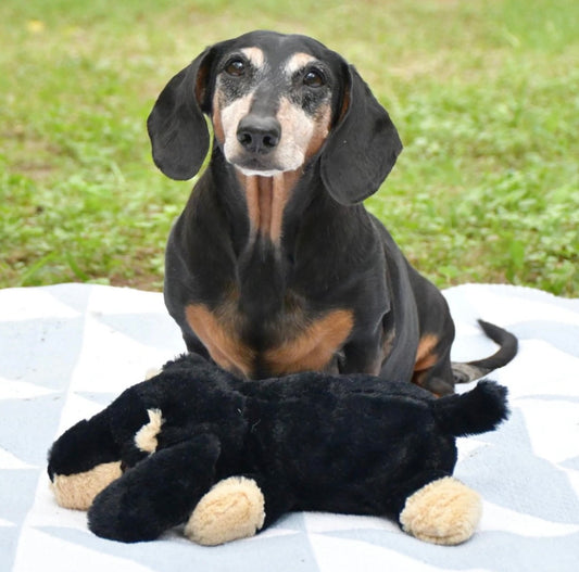 The Weens - Sleeping Booties Dog Toy