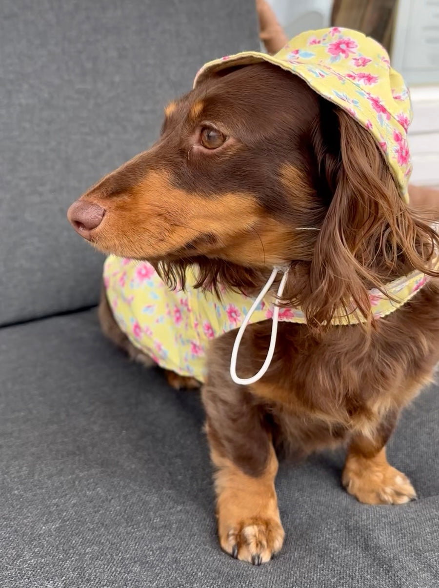 Fancy Floral Dress