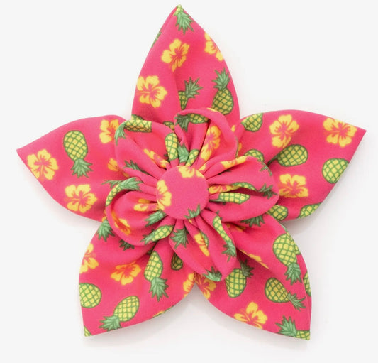 Pineapples Flower