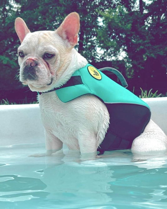 Body Glove Neoprene Pet Life Jacket