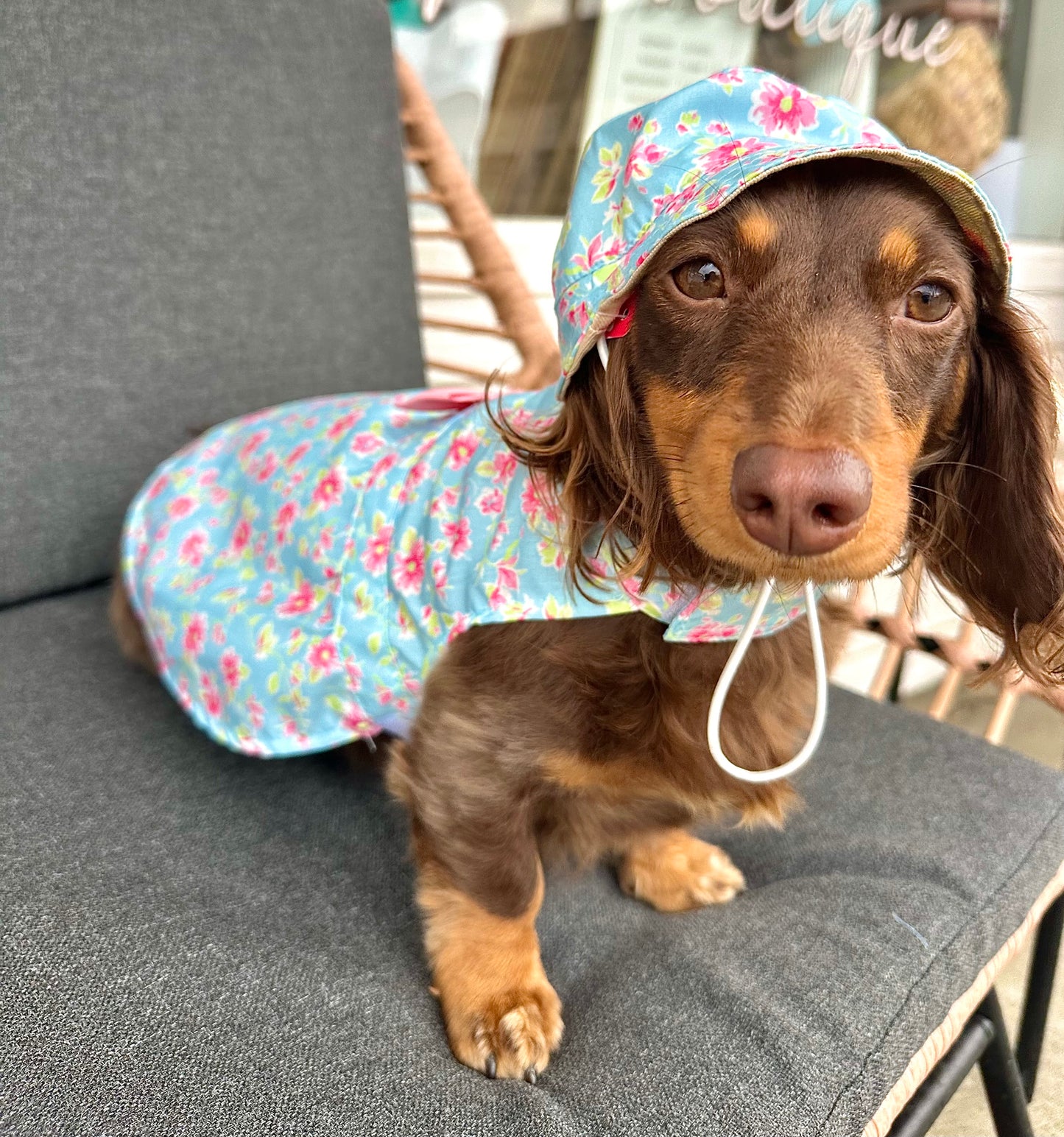 Fancy Floral Dress