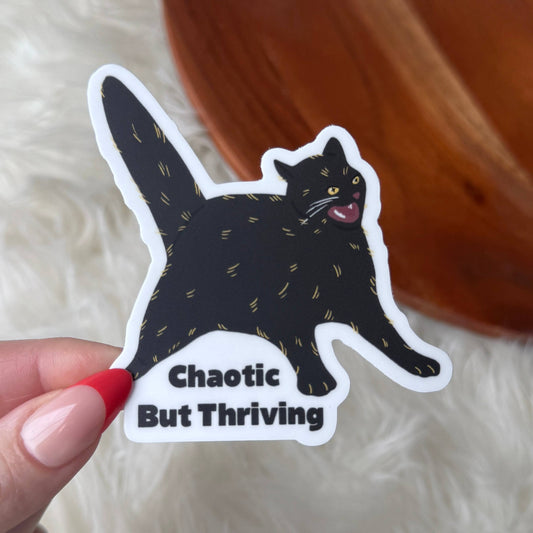 Chaotic But Thriving Cat Sticker