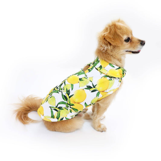 Lemon Cooling Jacket