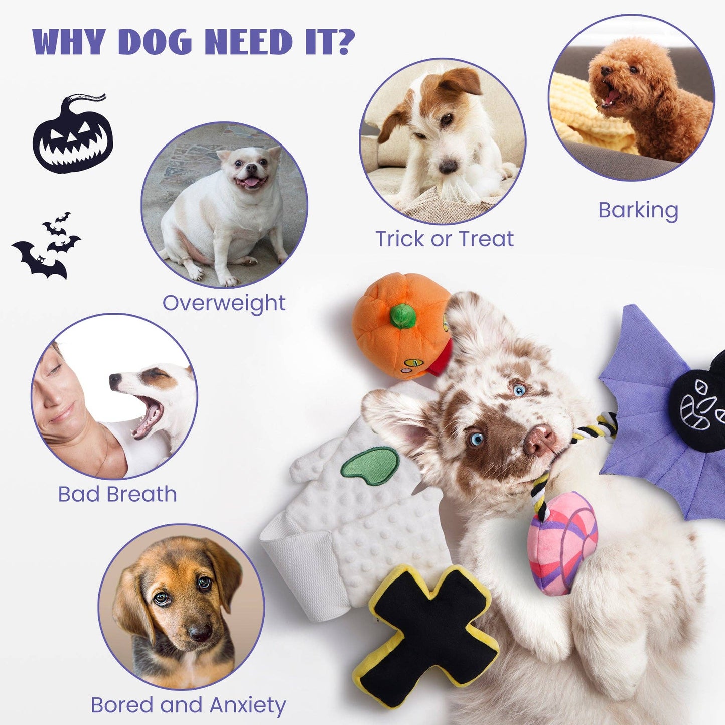 Nocciola 5 PCS Halloween Crinkle Dog Squeaky Toys
