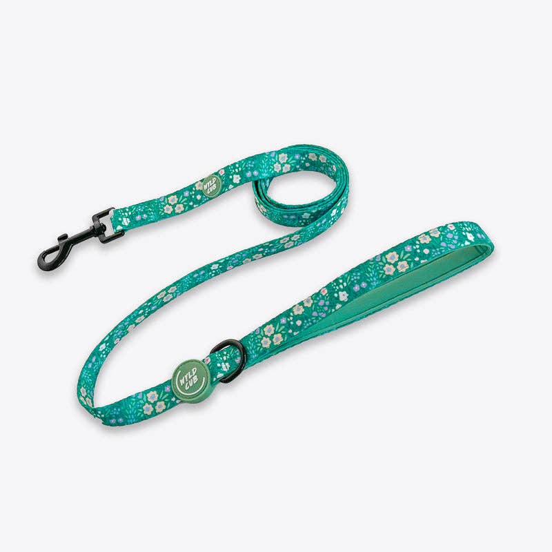 Dog Lead: Notting Hill Mint