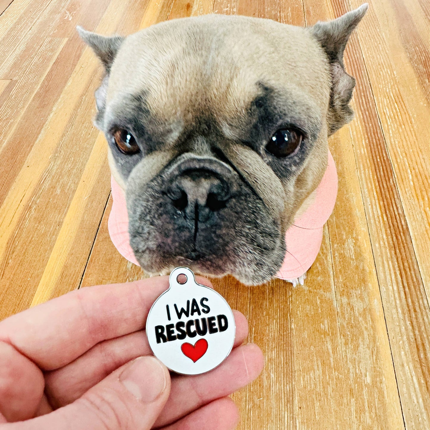 Dog Tag Collar Charm - I Was Rescued - QR Code