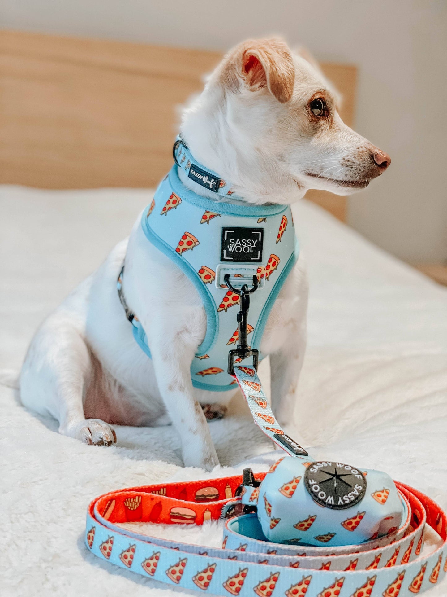 Dog Reversible Harness - One Hot Pupperoni