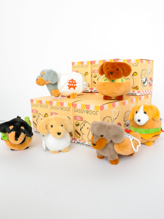Dachshund Keychain Blind Box