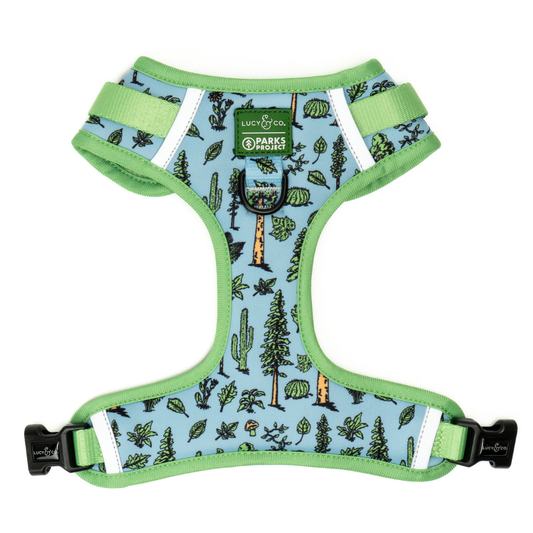 Lucy & Co. x Parks Project Feel the Earth Breathe No-Pull Harness