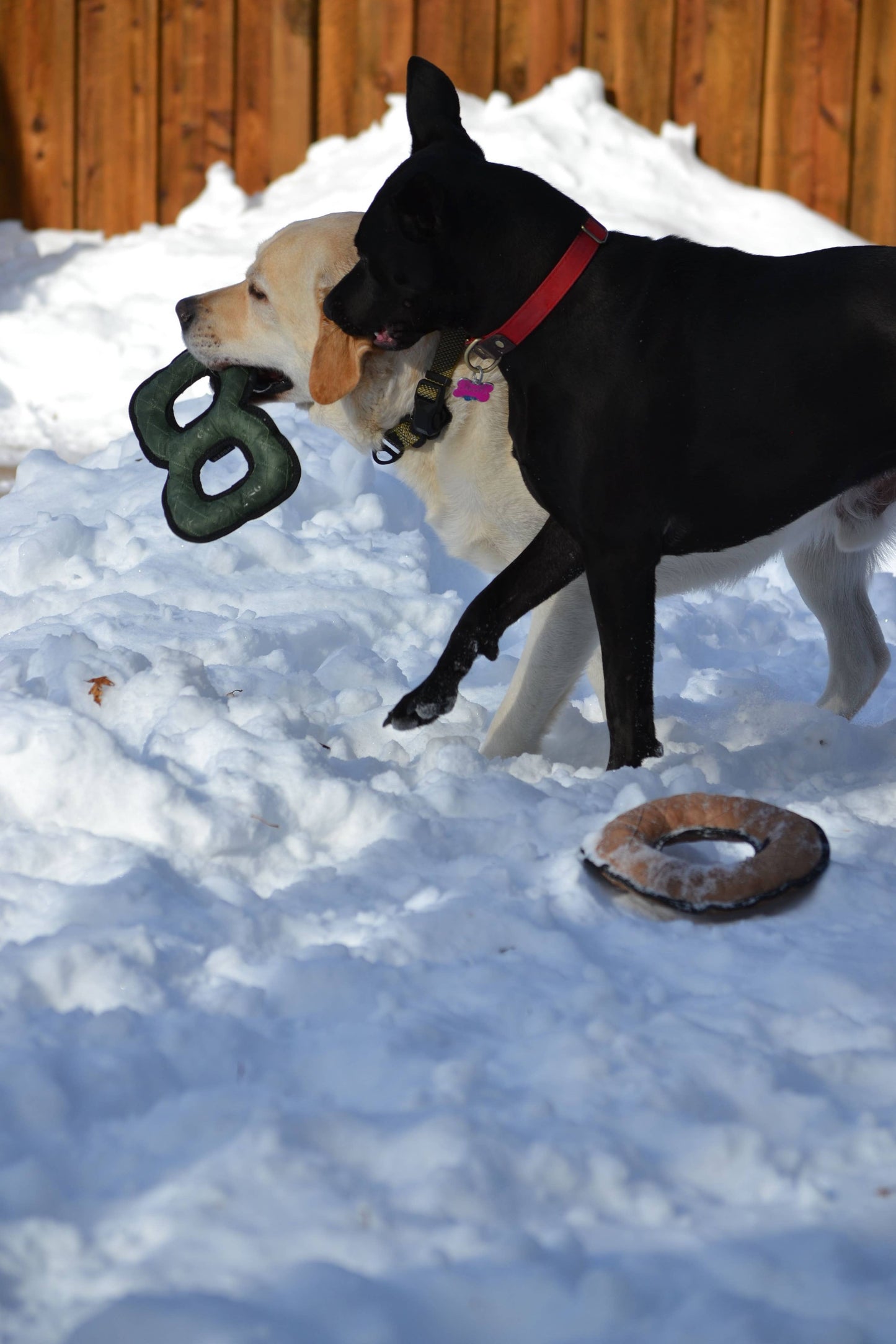 Hooza Tug