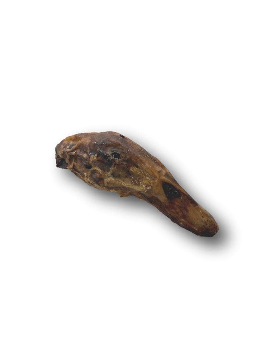 Duck Head (DU0101DH)