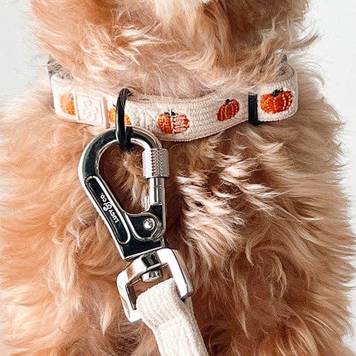 Oh My Gourd Corduroy Collar