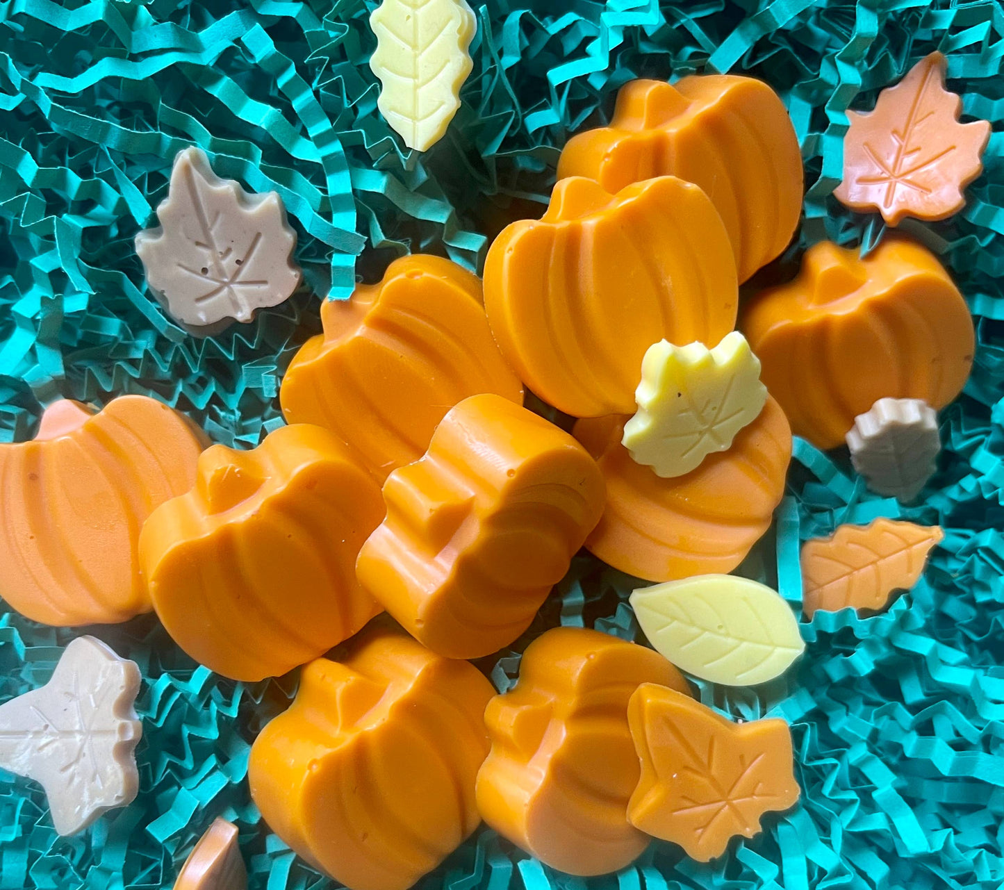 PUPkin truffles dog treats (soft treats)