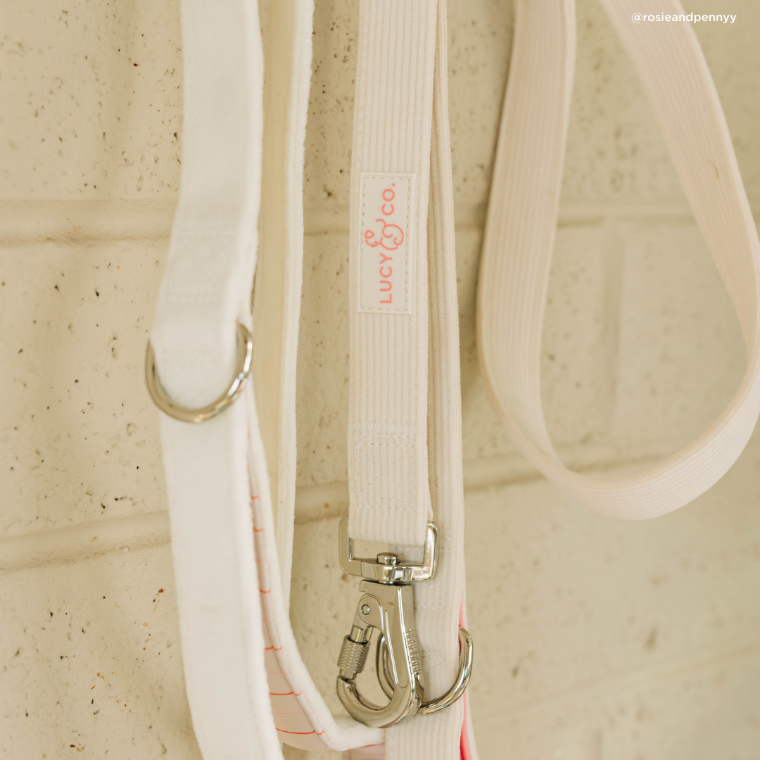 Ever So Sweet Corduroy Leash