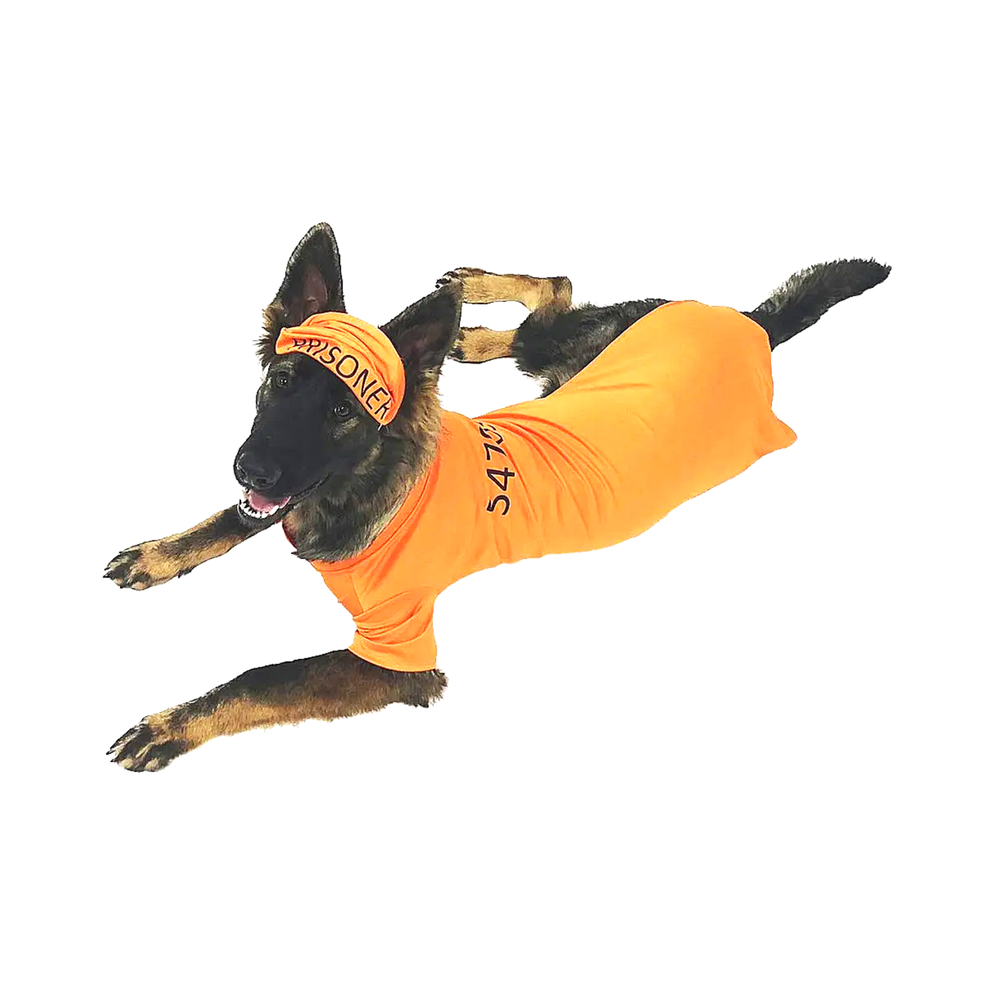 Orange Prisoner Dog Costume