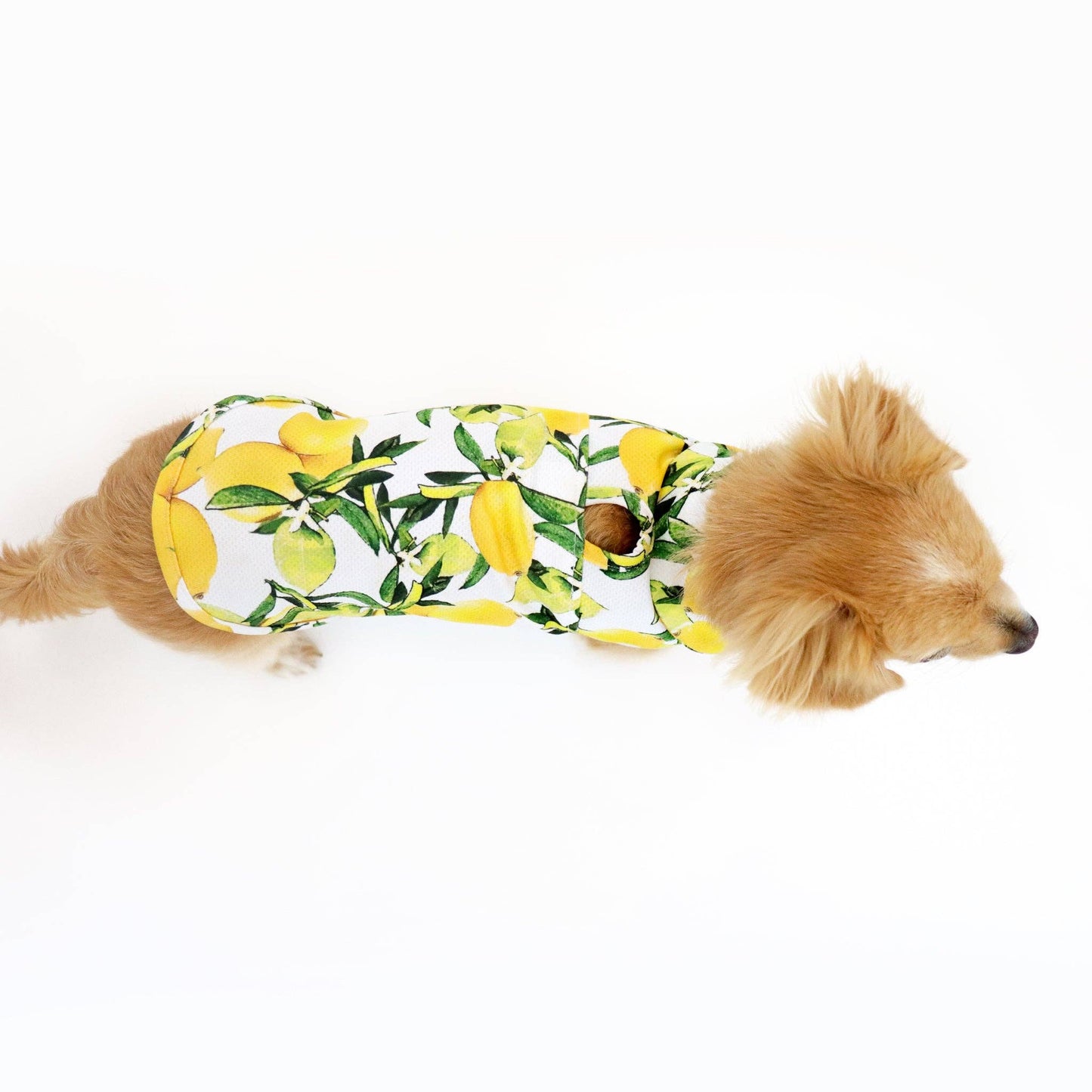 Lemon Cooling Jacket