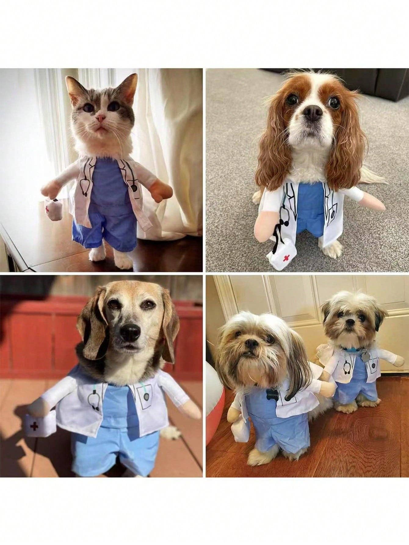 Halloween Funny Pet Costume, Veterinarian Standing Outfit, Pet Transformation Clothes, Silly Upright Dress For Dogs And Cats, Pet Photography Props, Pet Cosplay Apparel, Halloween Party Outfit