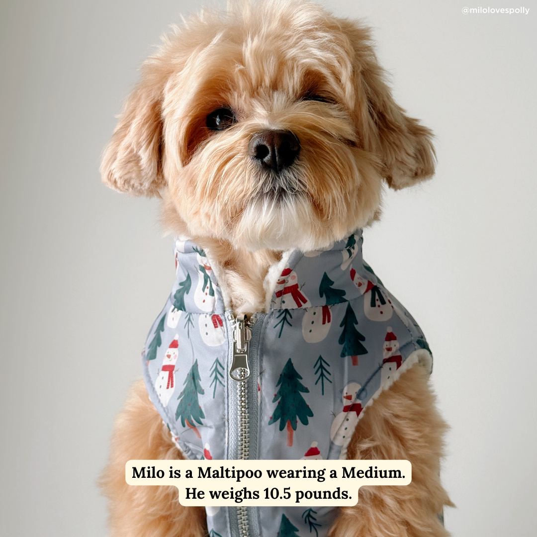 Snow Much Fun Reversible Teddy Vest