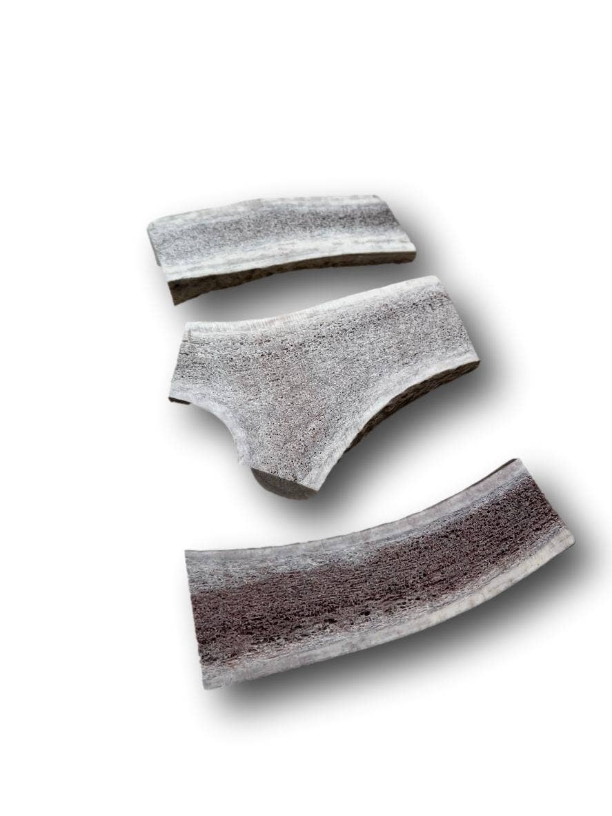 Elk Antler Split - Medium