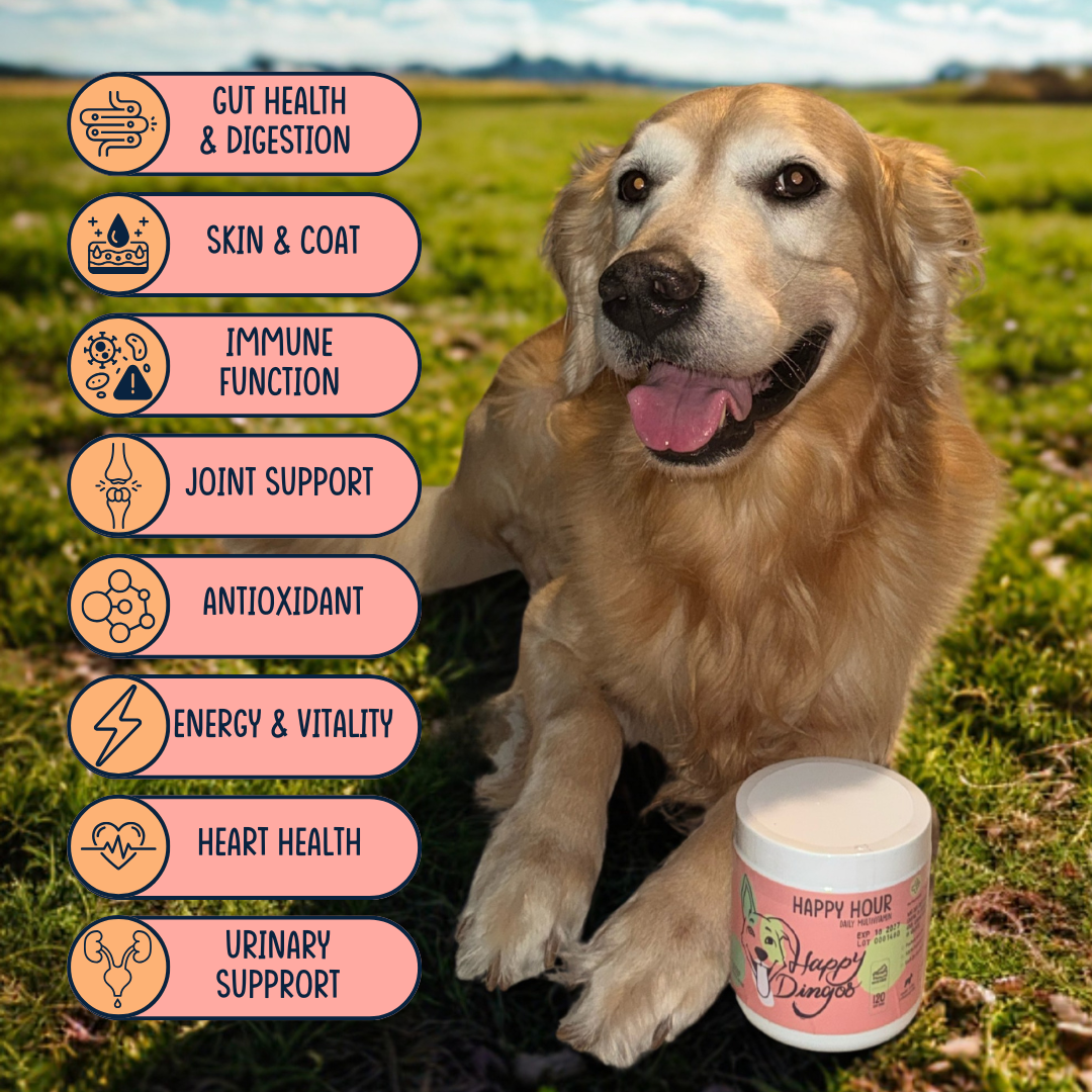 Happy Hour Multivitamin Supplement for Dogs - 120 Chews