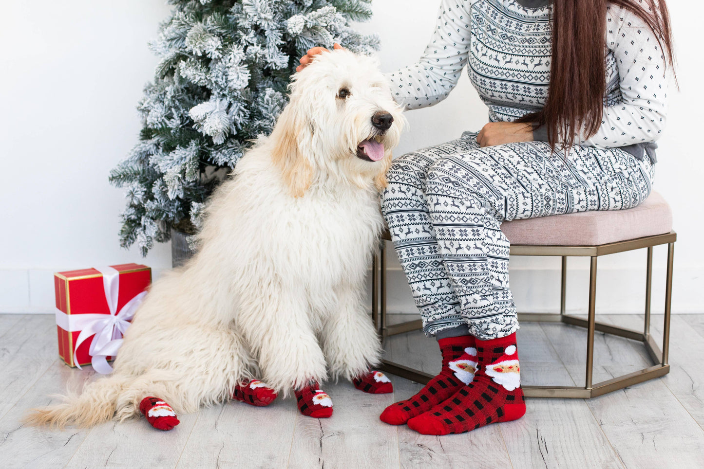 Santa Dog and Human Matching Christmas Sock Set