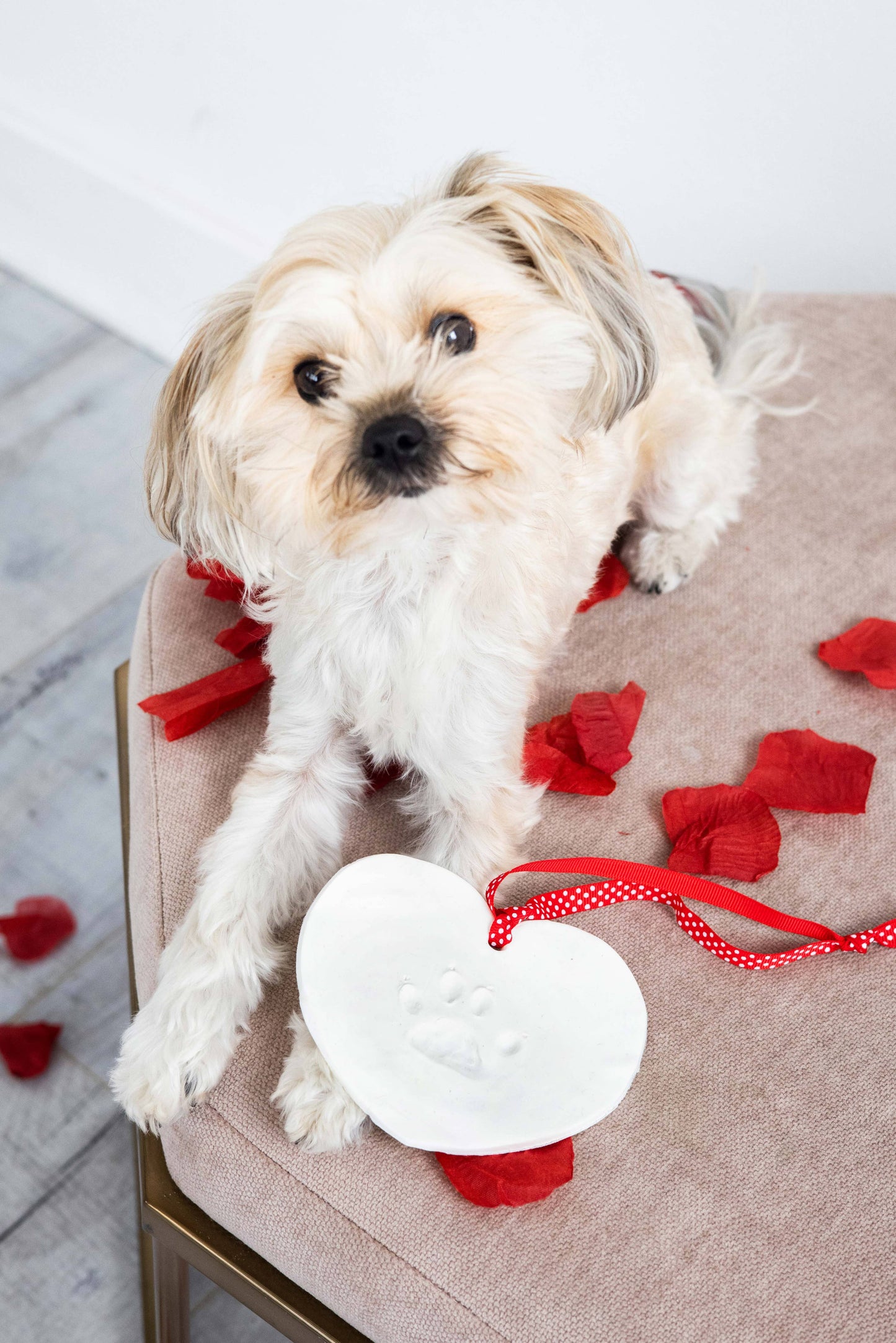 Pawprints Keepsake Hanging Holiday Ornament, Heart Shape