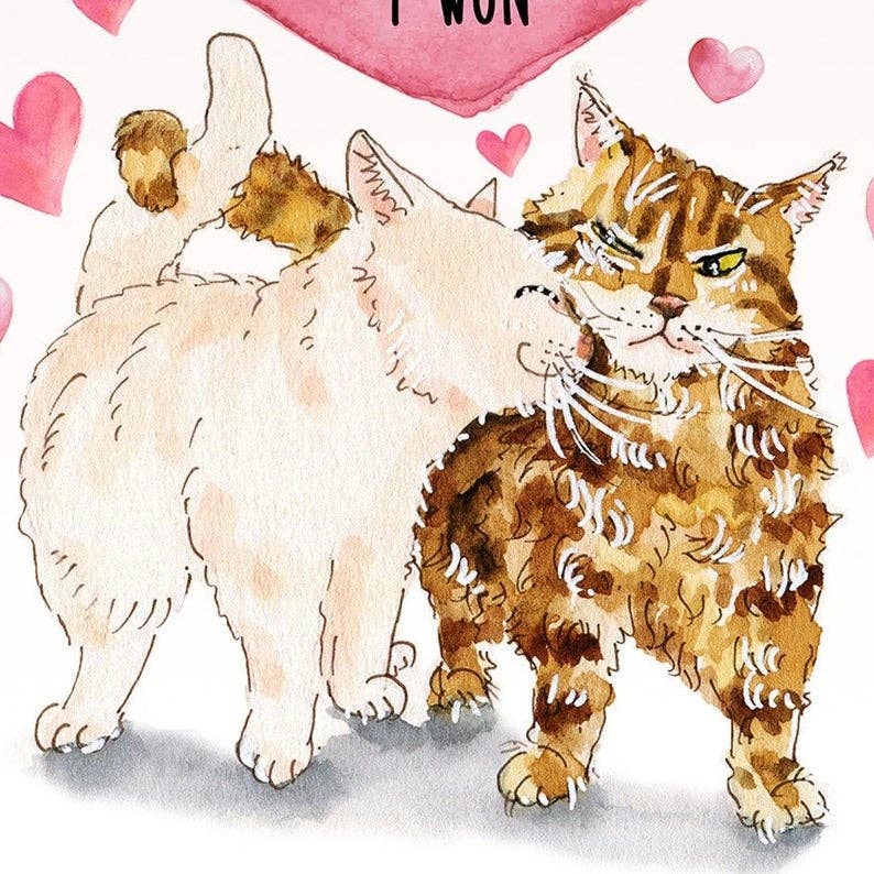 Love Argument Cats - Funny Anniversary Card