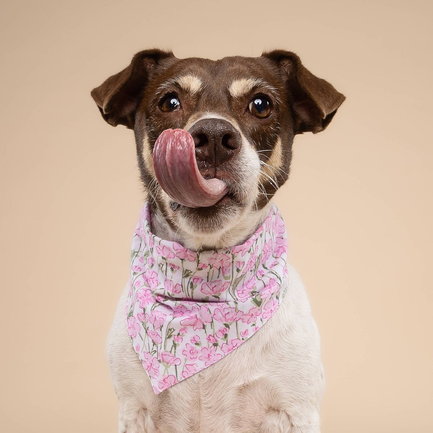 Azelia Flower Dog Bandana