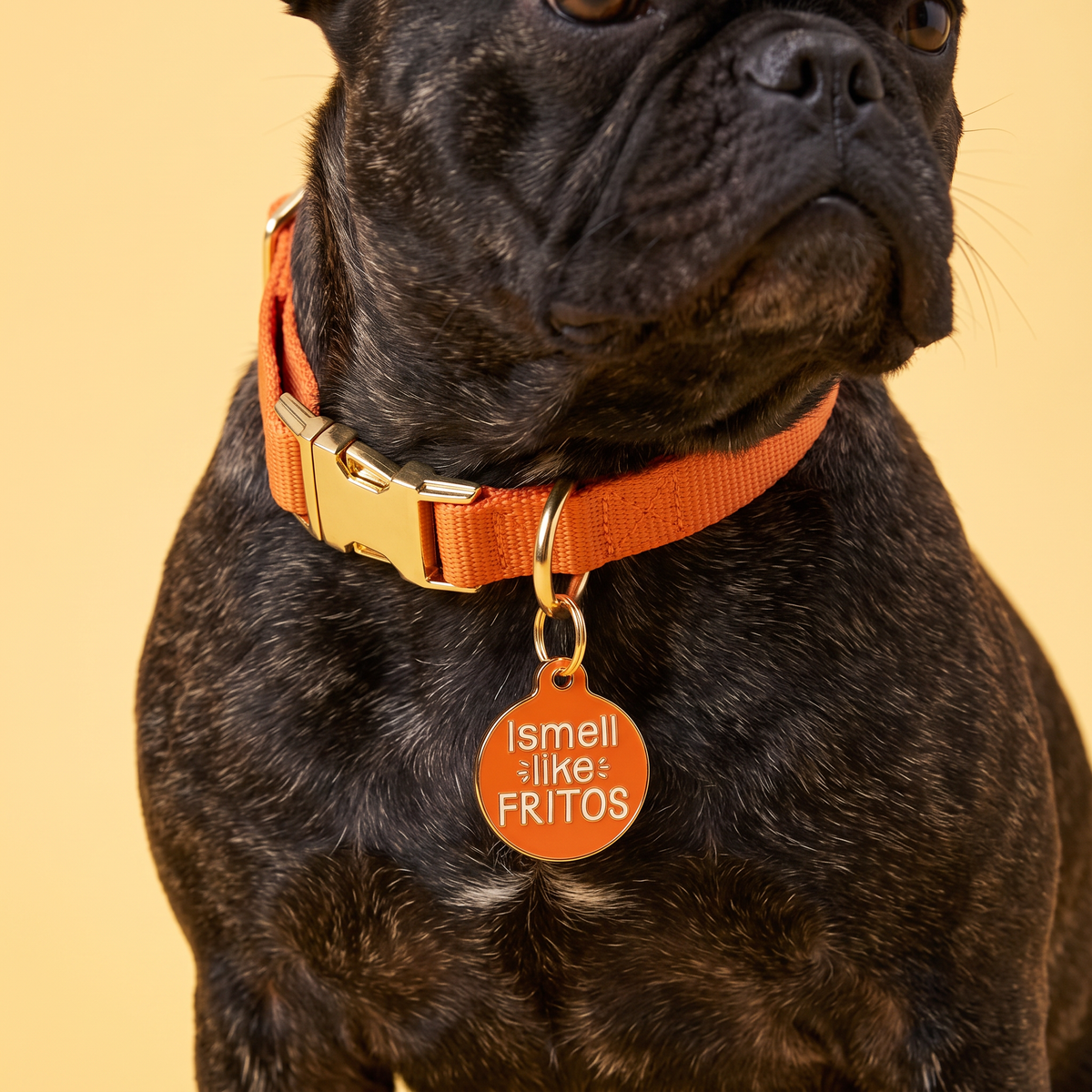 Funny Dog Tag Charm & Pet ID Tag - I Smell Like Fritos