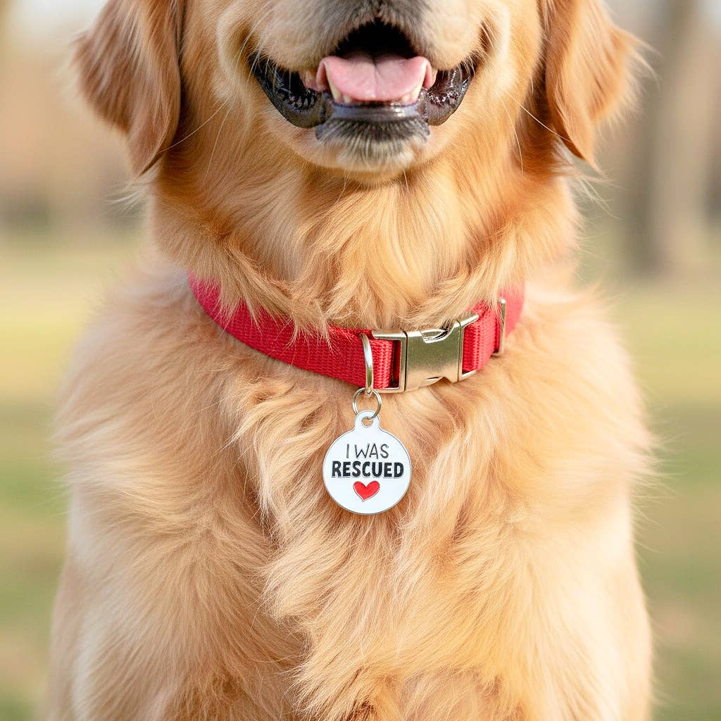 Dog Tag Collar Charm - I Was Rescued - QR Code