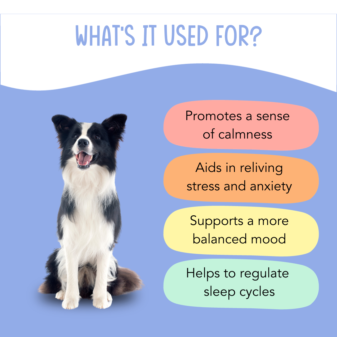 Mellow Fellow - Calming Supplement for Dogs - 120 Chew