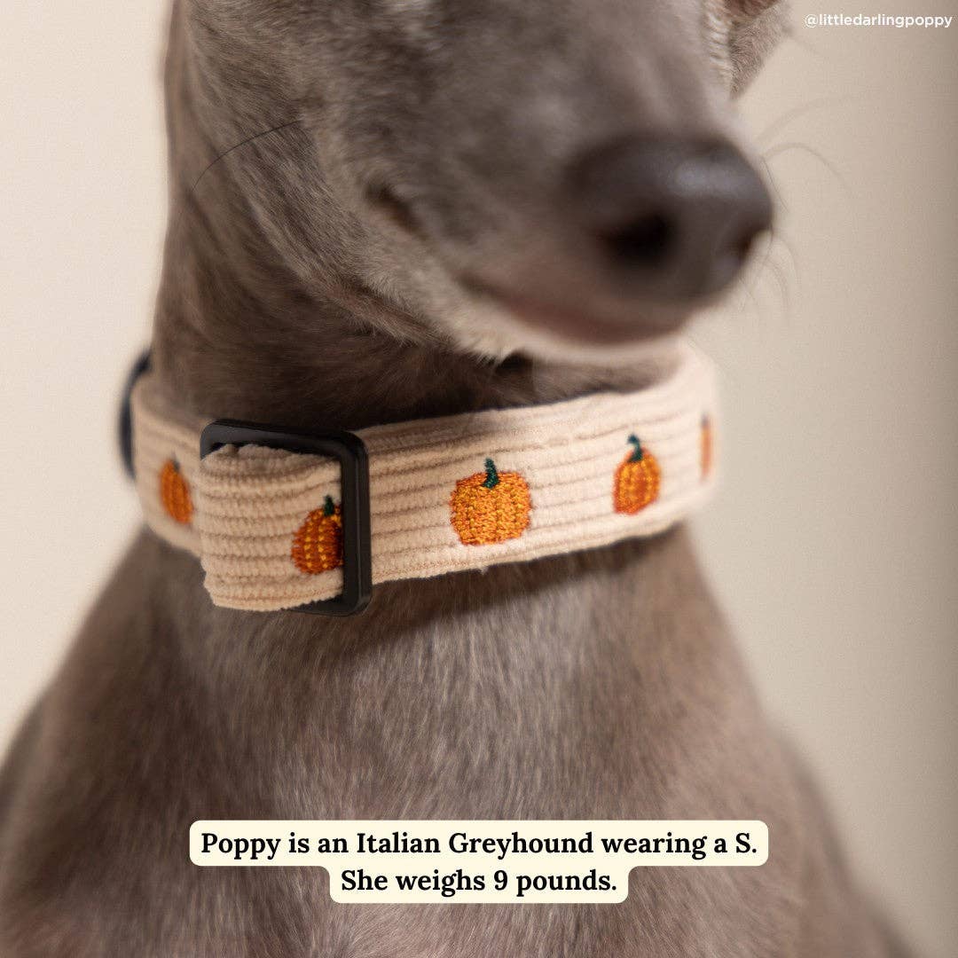 Oh My Gourd Corduroy Collar