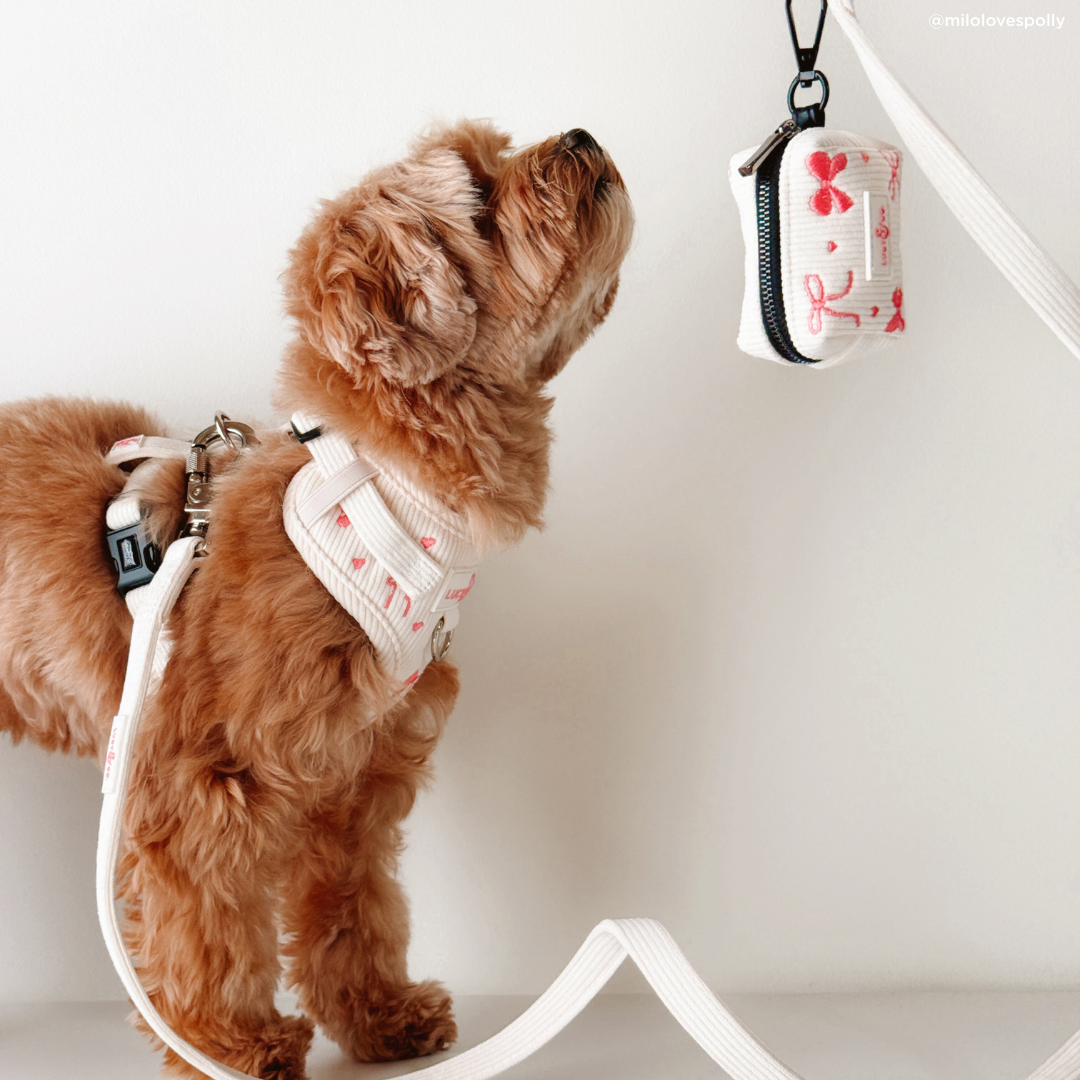 Ever So Sweet Corduroy Leash