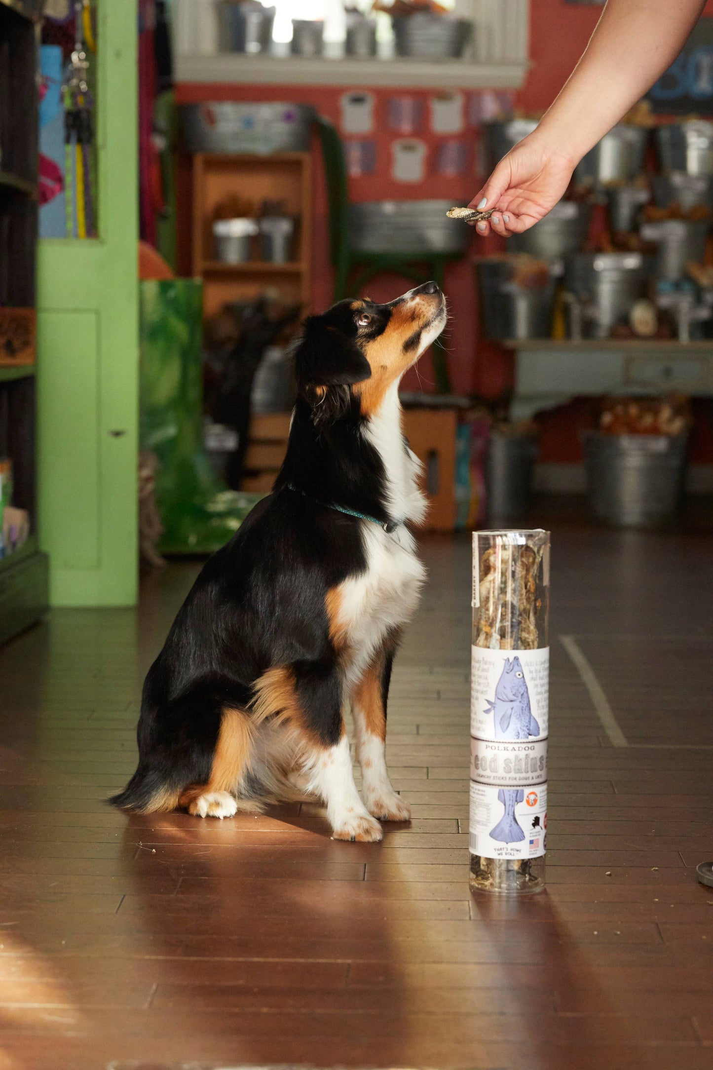 Cod Skins - 2.5oz Tube - Dog Treats