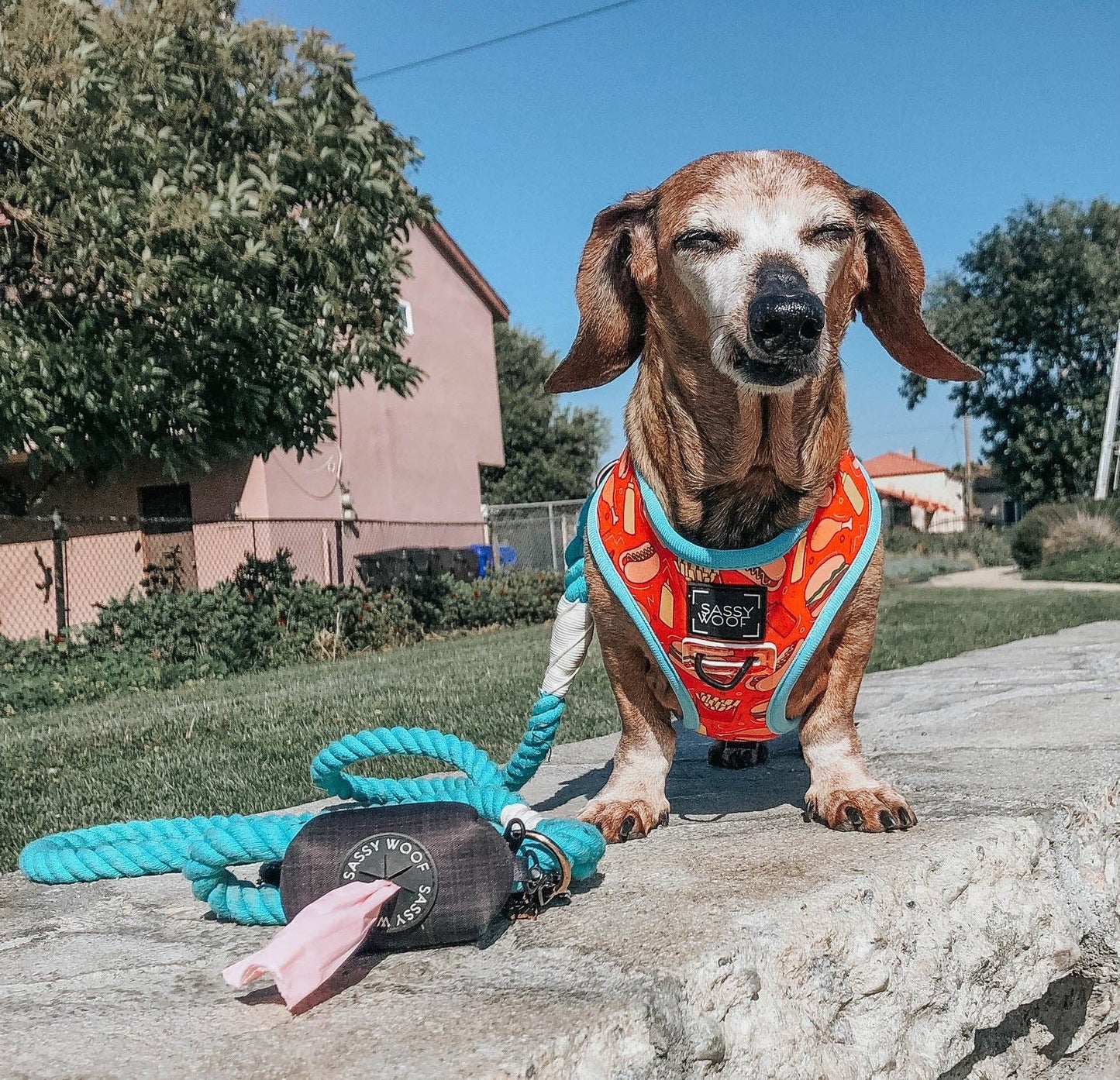Dog Reversible Harness - One Hot Pupperoni